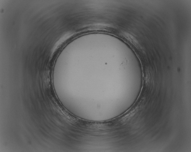 X0000062671164200601111236