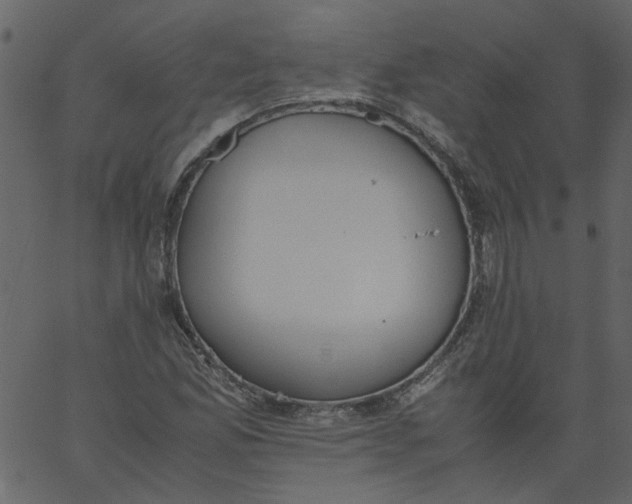 X0000062671165200601111236