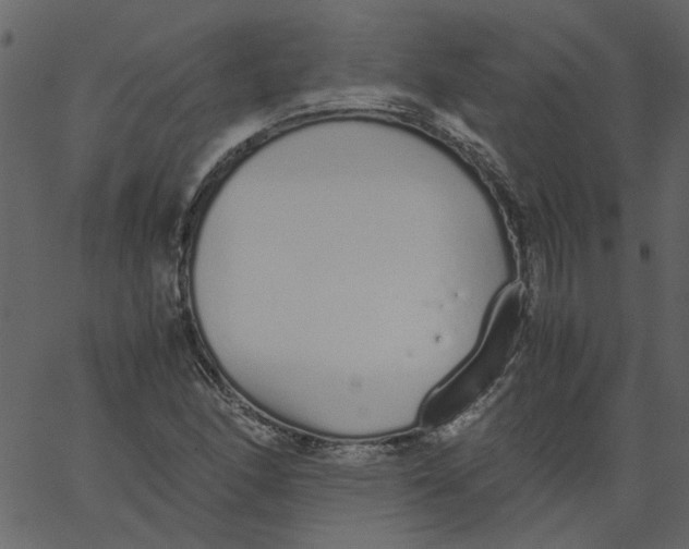 X0000062671166200601111236