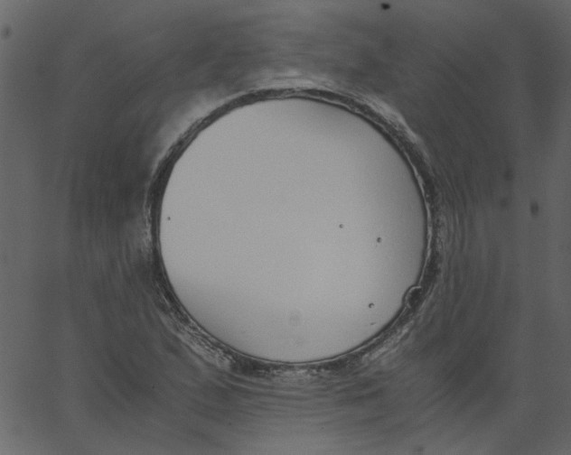 X0000062671167200601111236