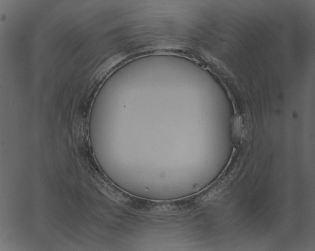 X0000062671169200601111236