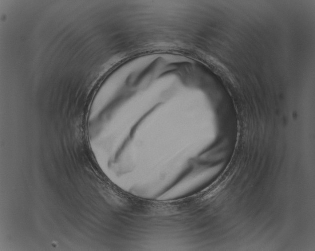 X0000062671170200601111236