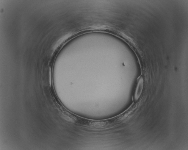 X0000062671171200601111236