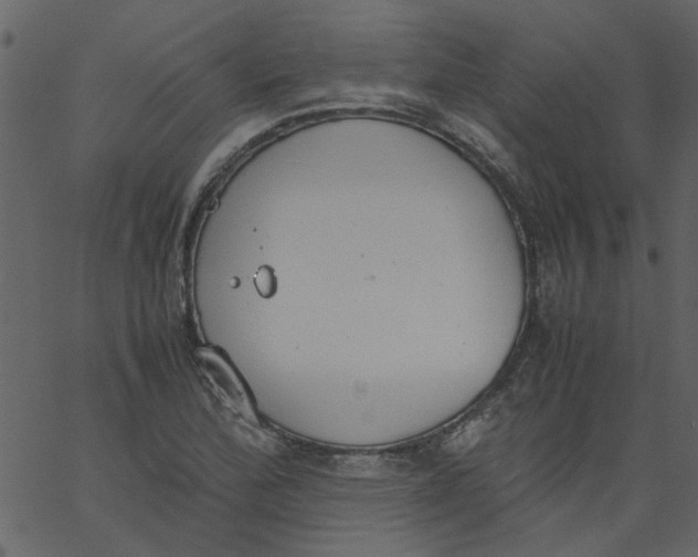 X0000062671172200601111236