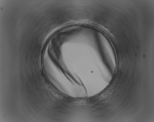 X0000062671174200601111236