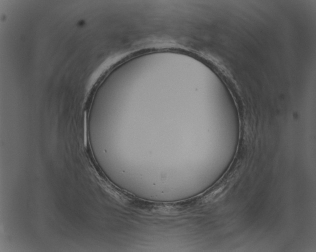 X0000062671175200601111236