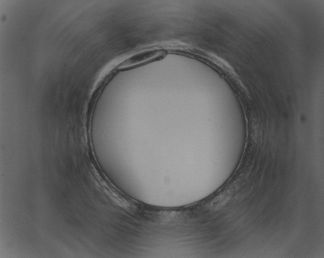 X0000062671176200601111236