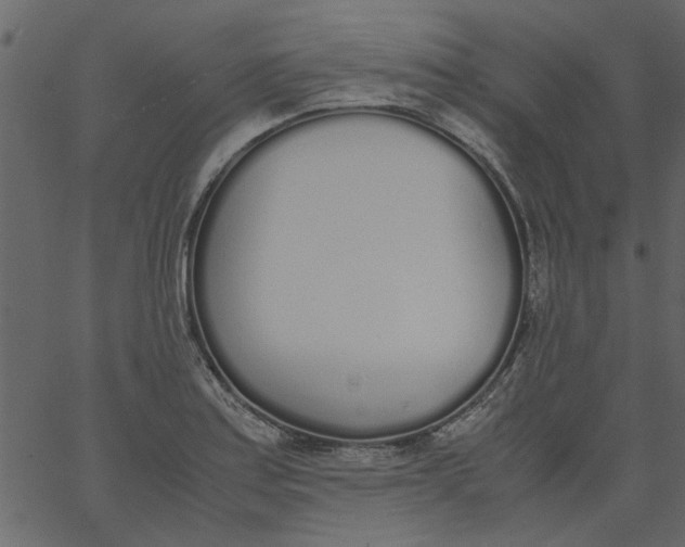 X0000062671179200601111236