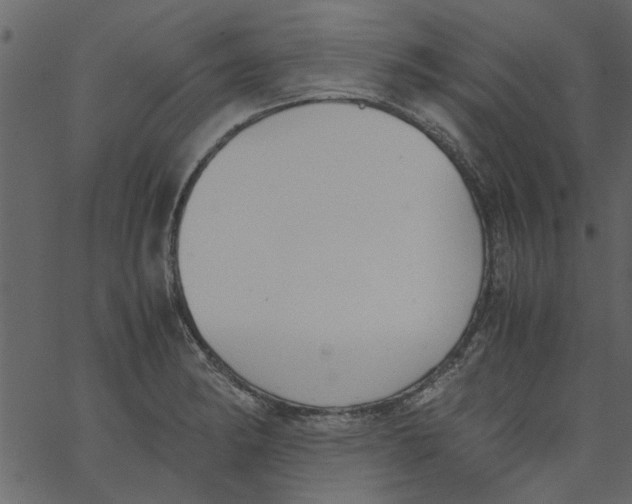 X0000062671182200601111236