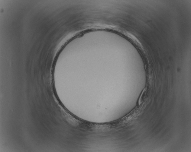 X0000062671183200601111236