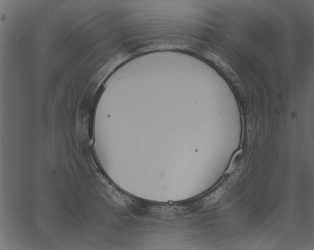 X0000062671185200601111236