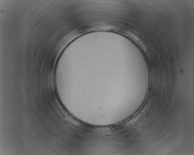 X0000062671186200601111236