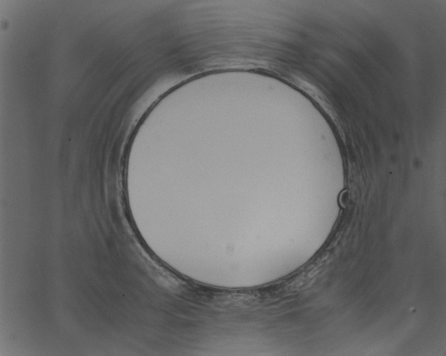 X0000062671187200601111236