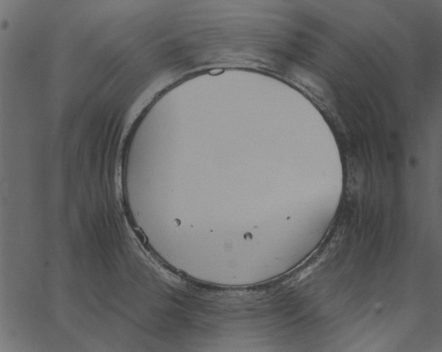 X0000062671188200601111236