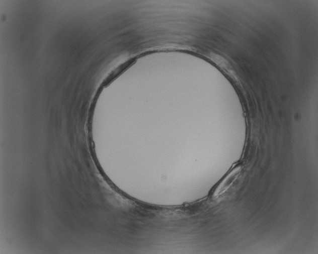 X0000062671189200601111236