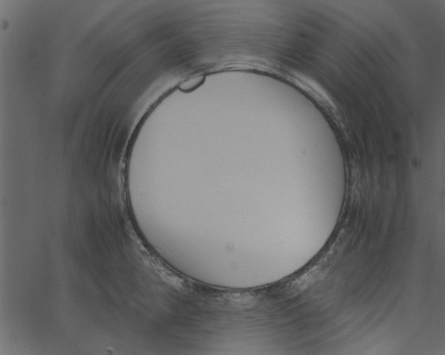 X0000062671190200601111236