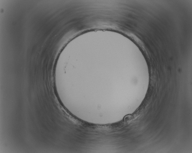 X0000062671191200601111236