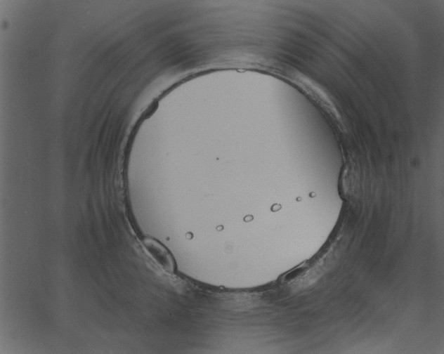 X0000062671192200601111236