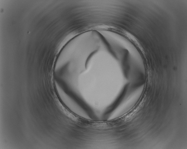 X0000062671194200601111236