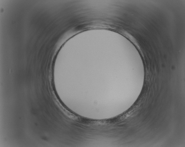 X0000062671195200601111236