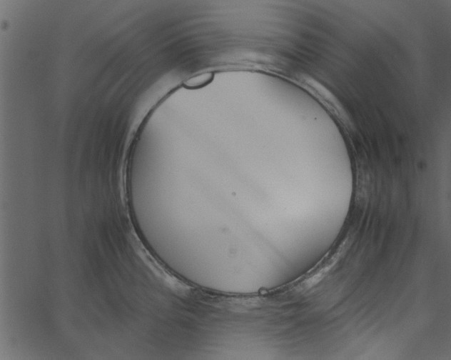 X0000062671196200601111236