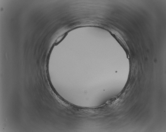 X0000062671197200601111236