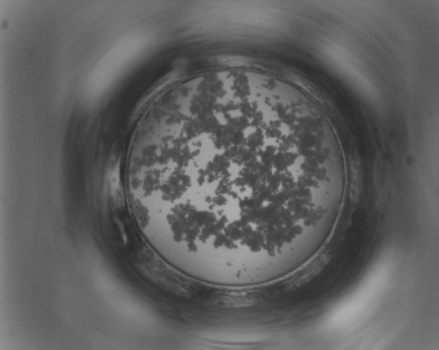 X0000062671198200601111236