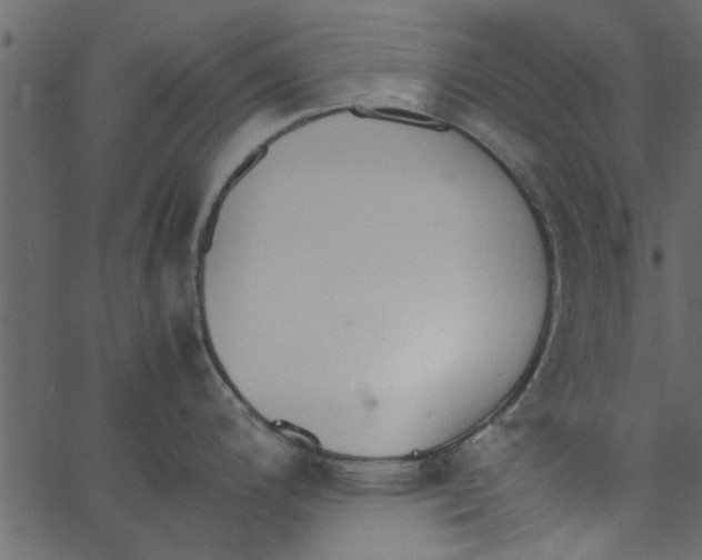 X0000062671200200601111236