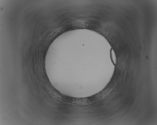 X0000062671201200601111235