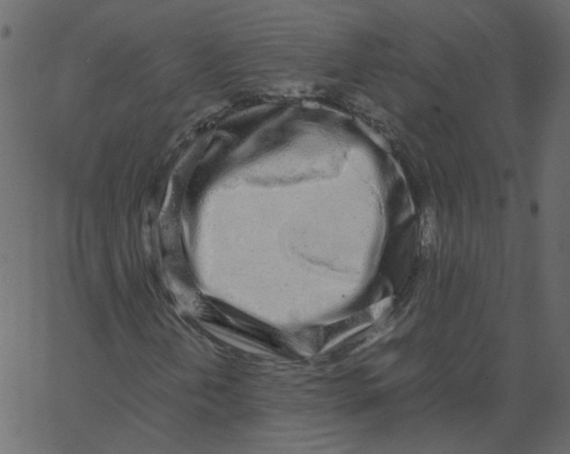 X0000062671202200601111235