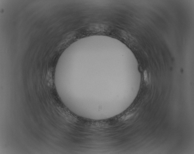 X0000062671203200601111235