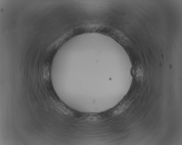 X0000062671204200601111235