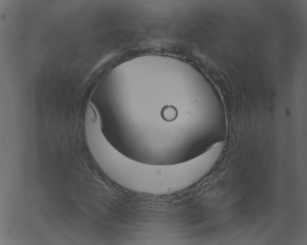 X0000062671206200601111235