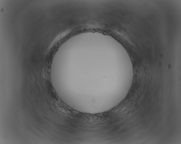 X0000062671207200601111235