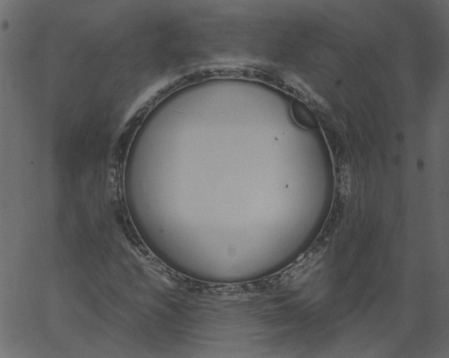 X0000062671208200601111235