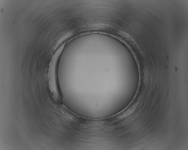 X0000062671210200601111235