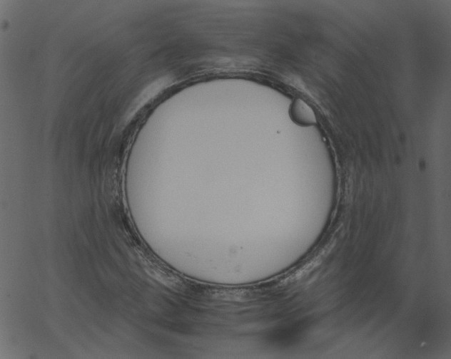 X0000062671211200601111235