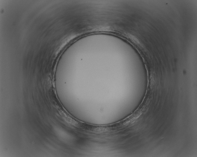 X0000062671212200601111235