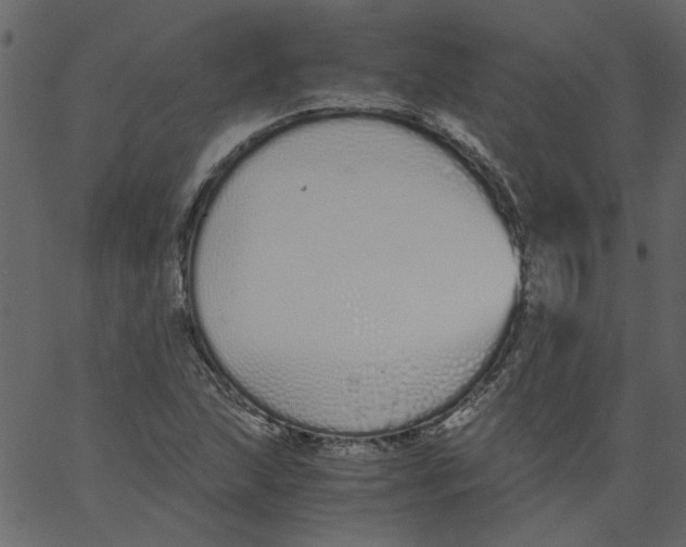 X0000062671215200601111235