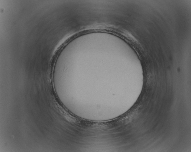 X0000062671216200601111235