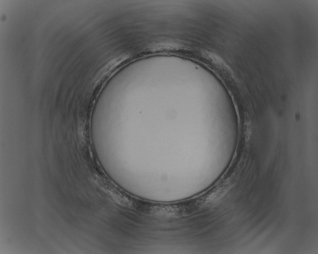 X0000062671217200601111235