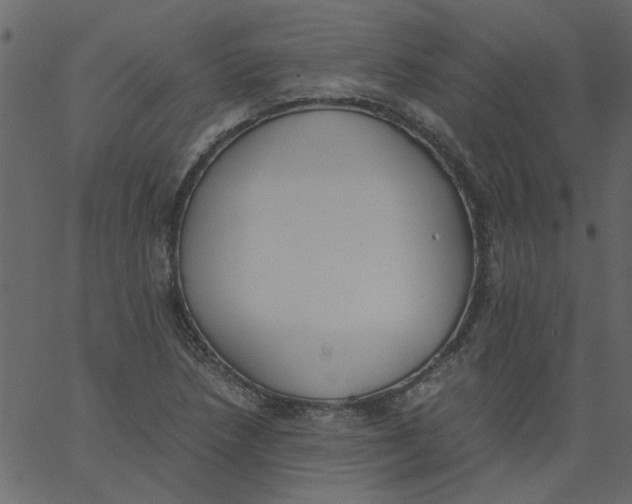 X0000062671218200601111235