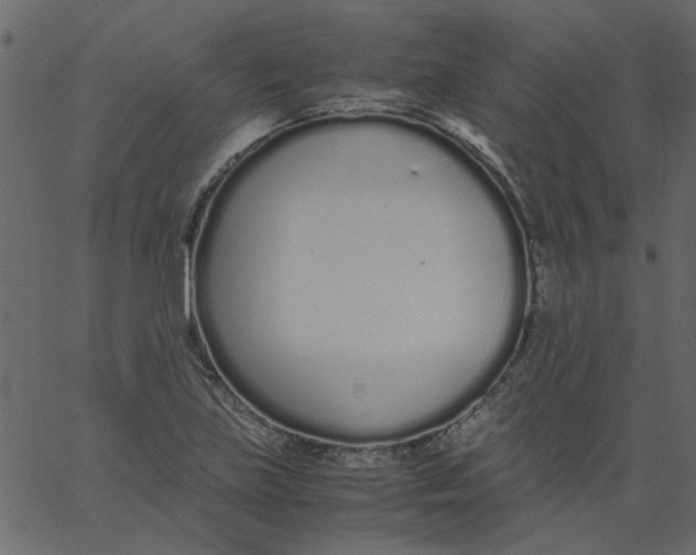 X0000062671219200601111235