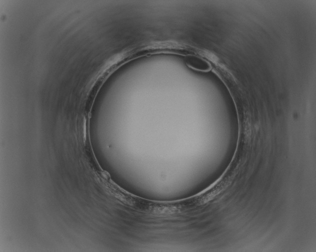 X0000062671221200601111235