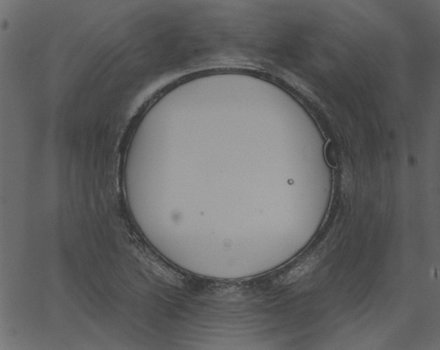 X0000062671222200601111235