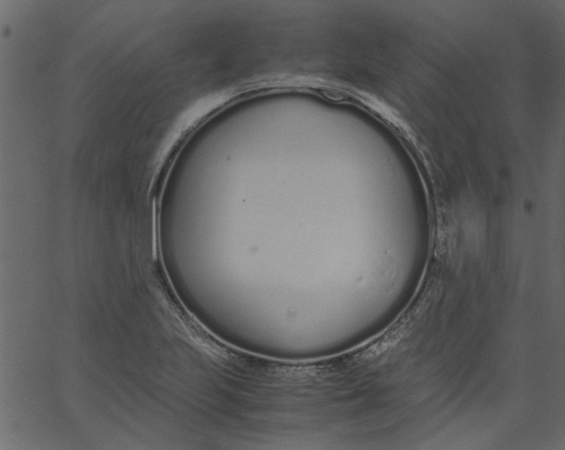 X0000062671223200601111235