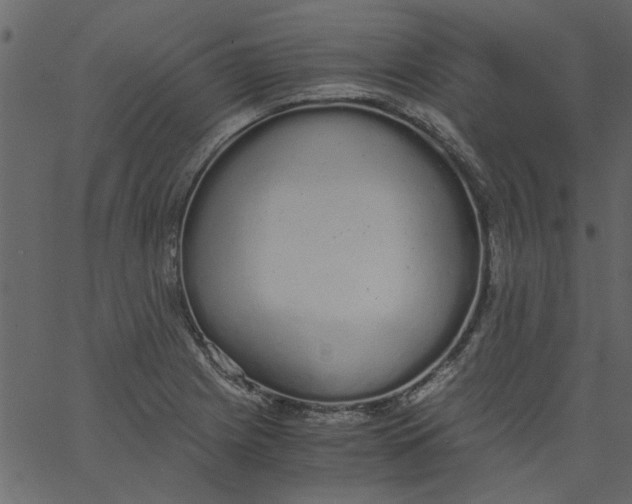 X0000062671225200601111235