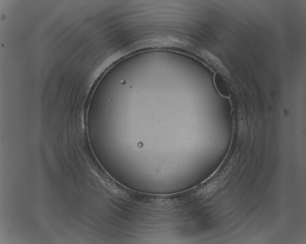 X0000062671226200601111235