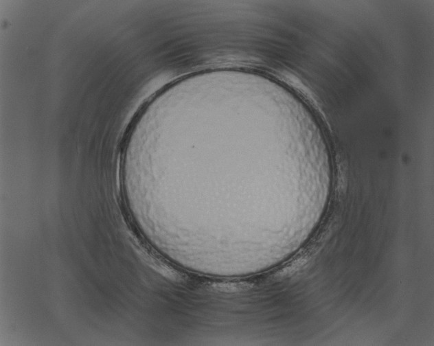 X0000062671227200601111235