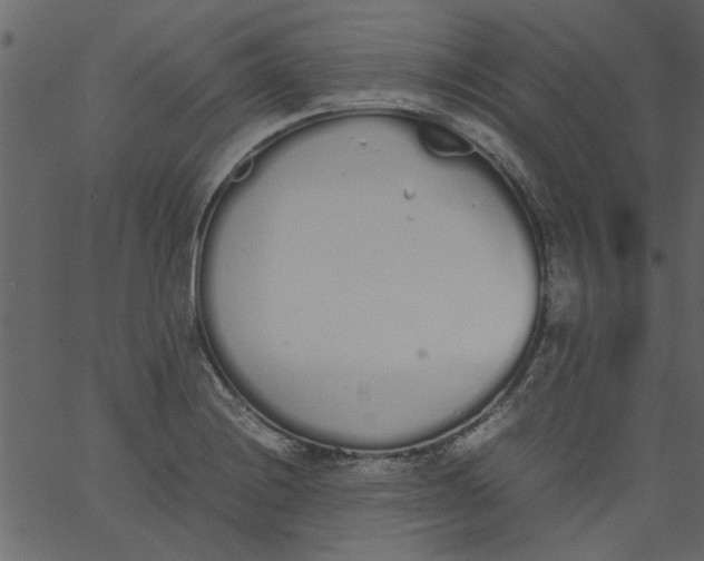 X0000062671228200601111235